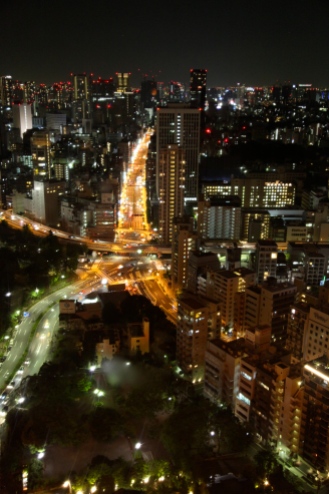view form Tokyo Tower.